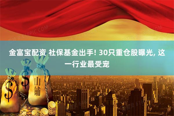 金富宝配资 社保基金出手! 30只重仓股曝光, 这一行业最受宠