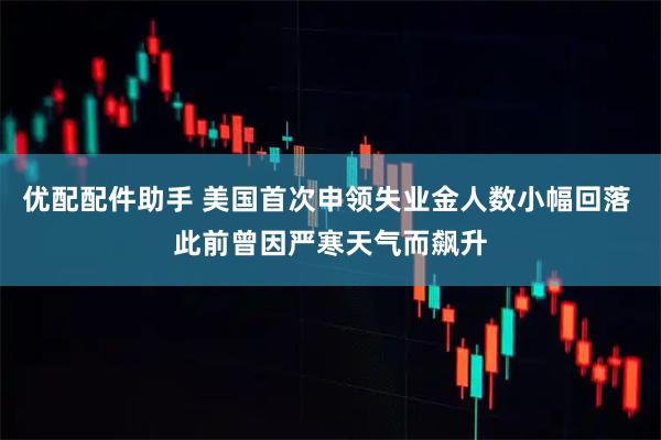优配配件助手 美国首次申领失业金人数小幅回落 此前曾因严寒天气而飙升
