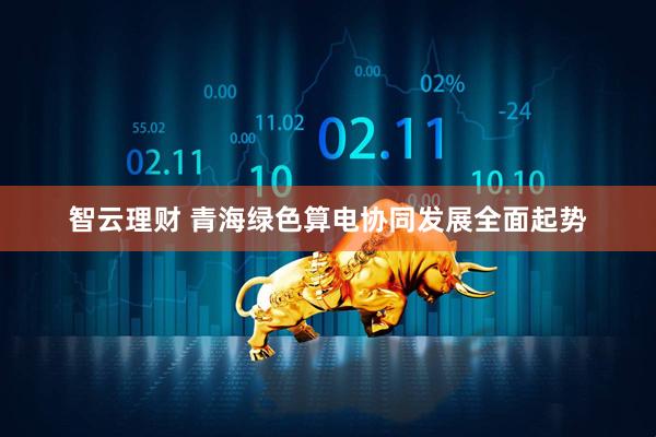 智云理财 青海绿色算电协同发展全面起势